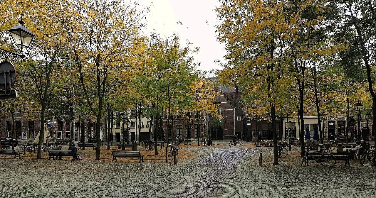 Antwerp in Autumn: What September to November Is Like