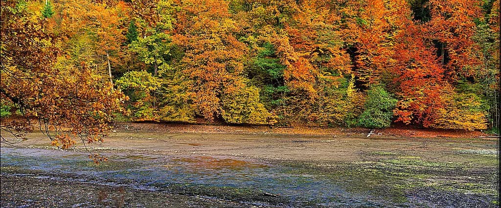 Belgium in October: Weather and Where to Go