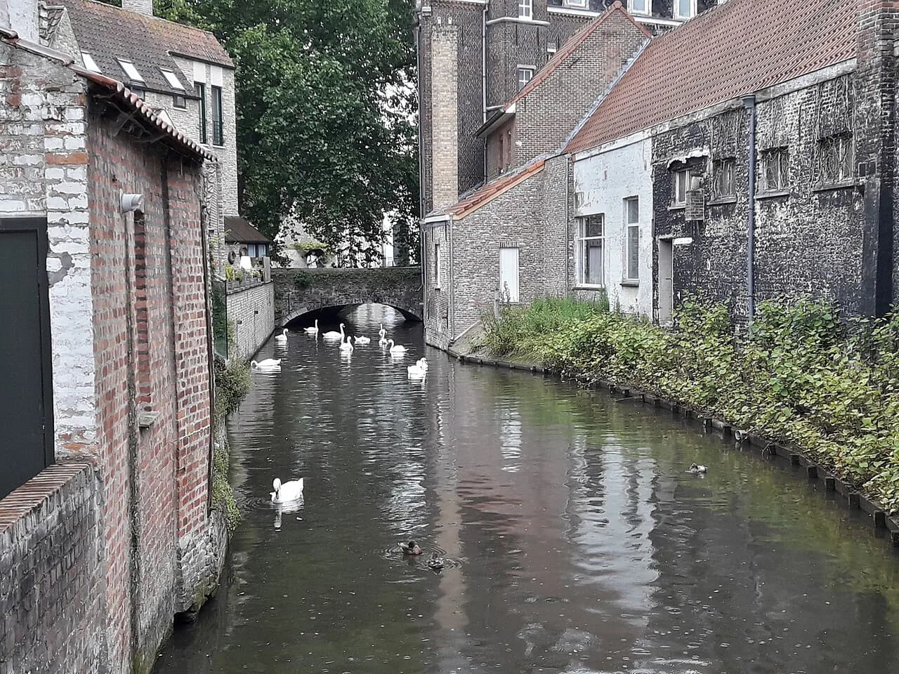 Best Views in Bruges: Belfry, Rooftops, Bridges and Canals