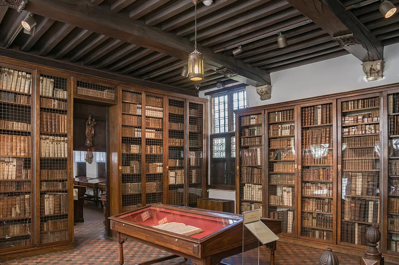 Museums in Antwerp: Which Ones Are Worth Your Time