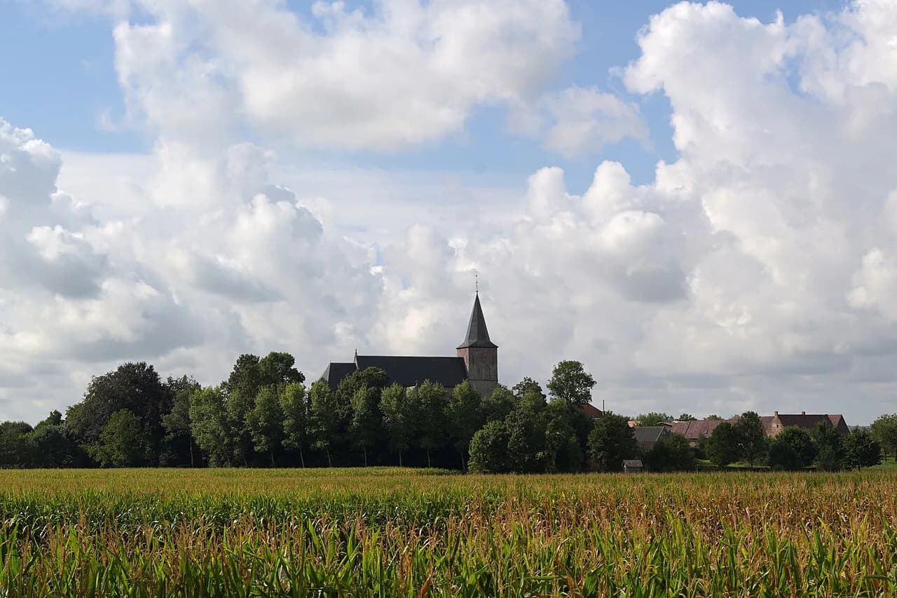 Oudenaarde: Town Hall, Tour of Flanders Centre and the Flemish Ardennes