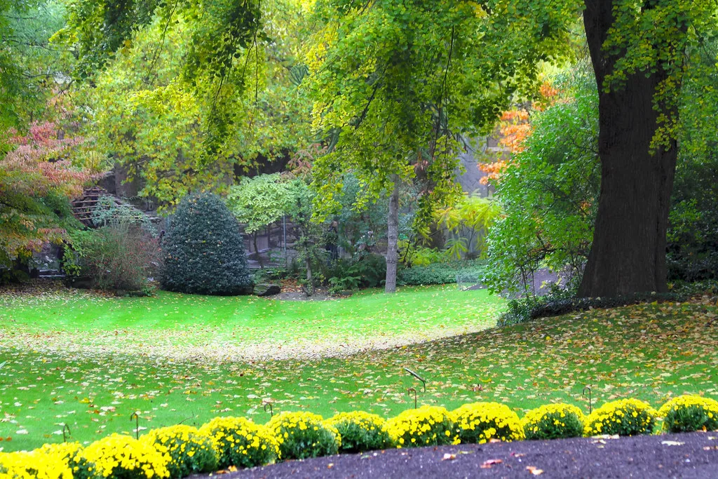 Autumn colours and a lawn at Antwerp Zoo.