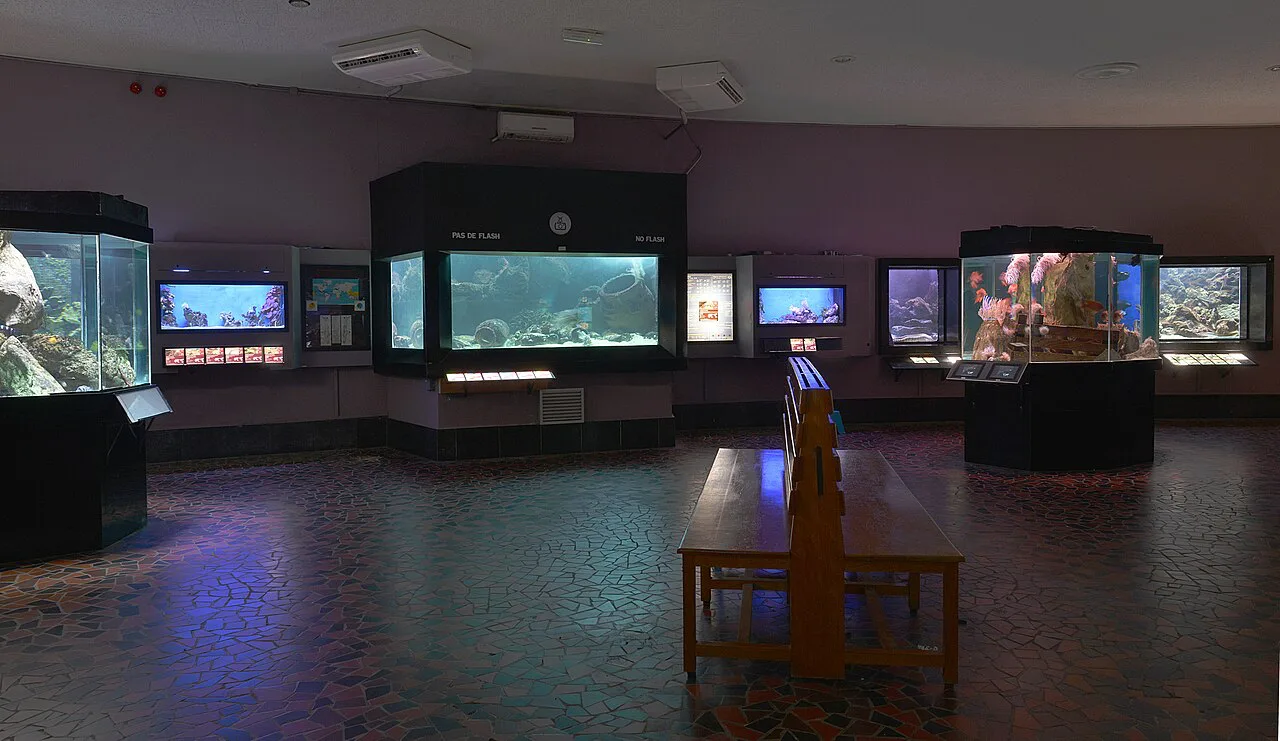 The main aquarium hall of the Aquarium-Museum, Liège.