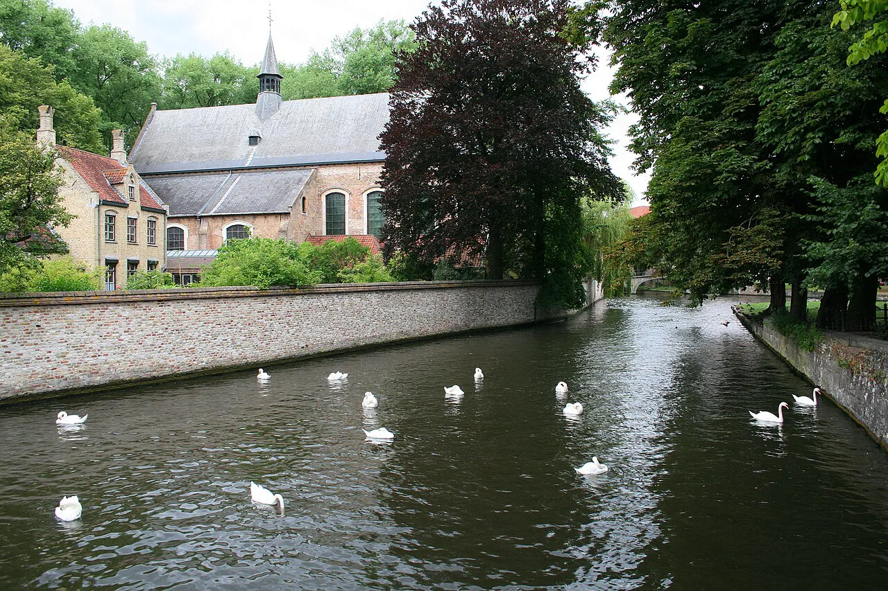 Swans on the canal beside the beguinage in Bruges.