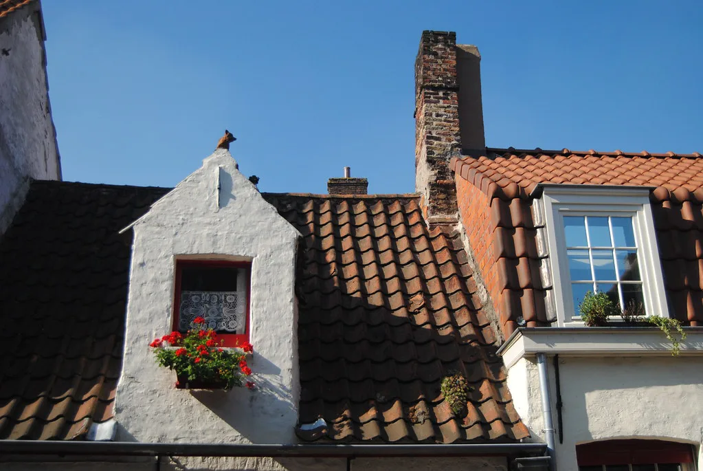 A whitewashed dormer with flower boxes above tiled roofs, Bruges.