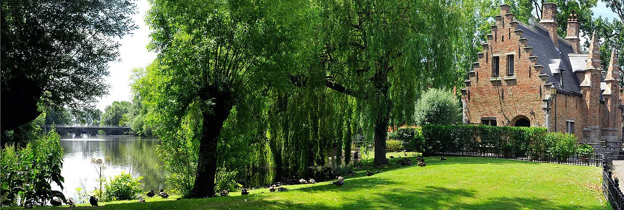 Willows and green lawns around the Minnewater lake in Bruges.