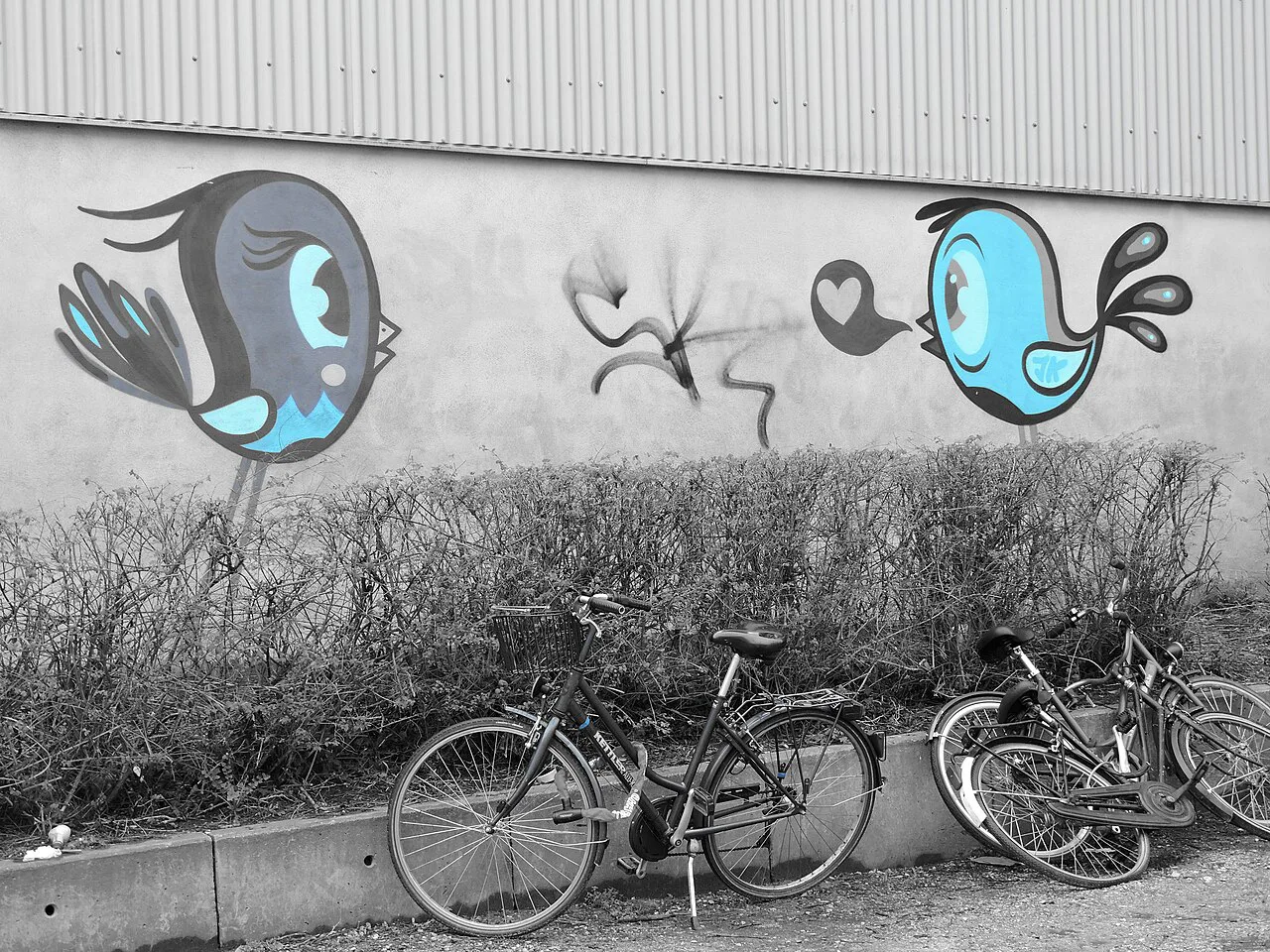 Bicycles parked beneath bird murals on a street-art wall in Ghent.