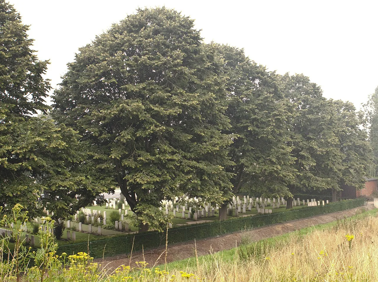 Headstones beneath the trees at Essex Farm Cemetery, near Ypres.