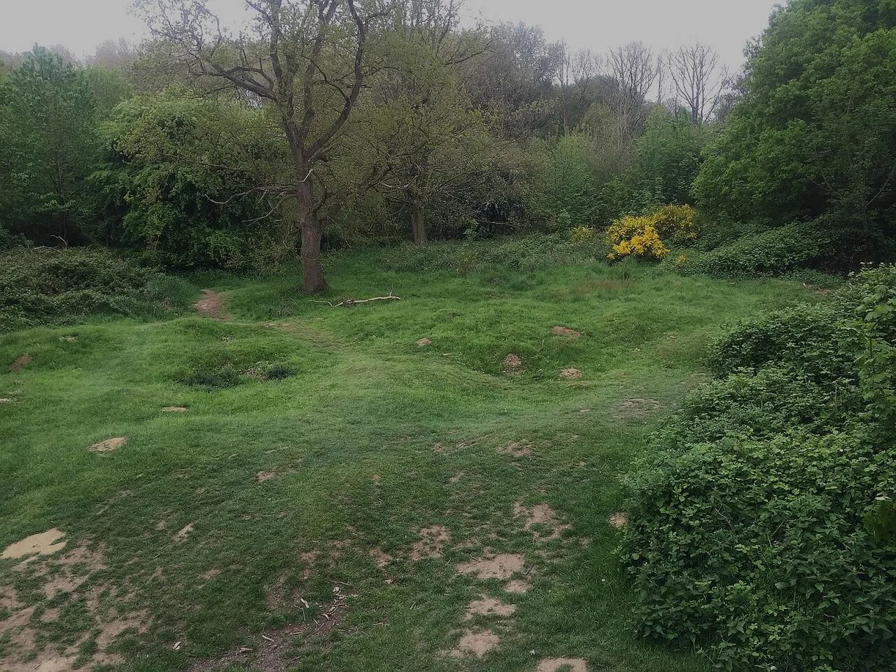 Cratered ground at the Hill 60 memorial site, near Ypres.