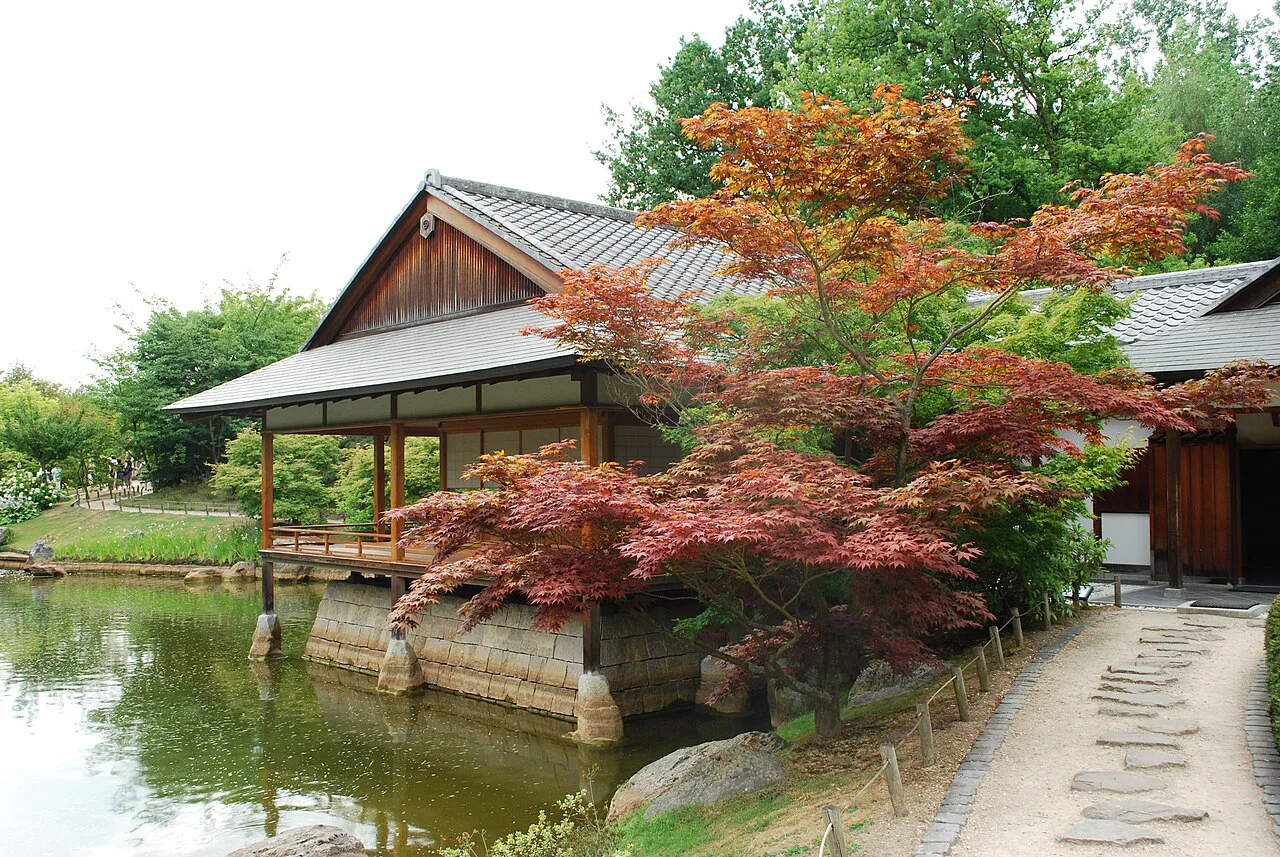 A wooden pavilion and red maple beside the pond in the Japanese Garden in Hasselt.