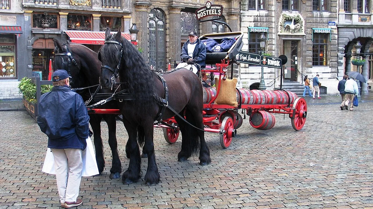 A horse-drawn brewery dray on a cobbled square in Brussels.