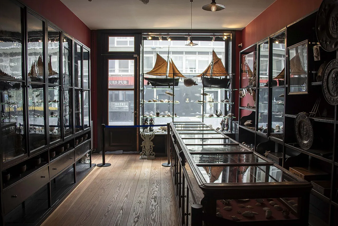 Display cabinets in the ground-floor shop of the James Ensor House, Ostend.