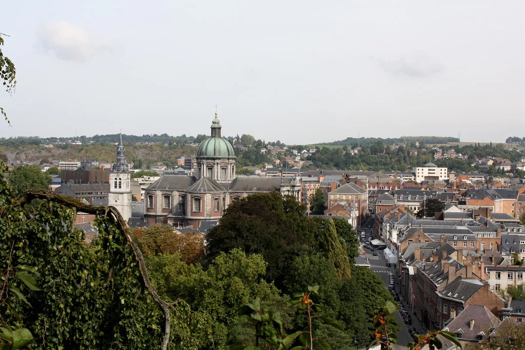 A view over Namur's rooftops and domes from the hillside.