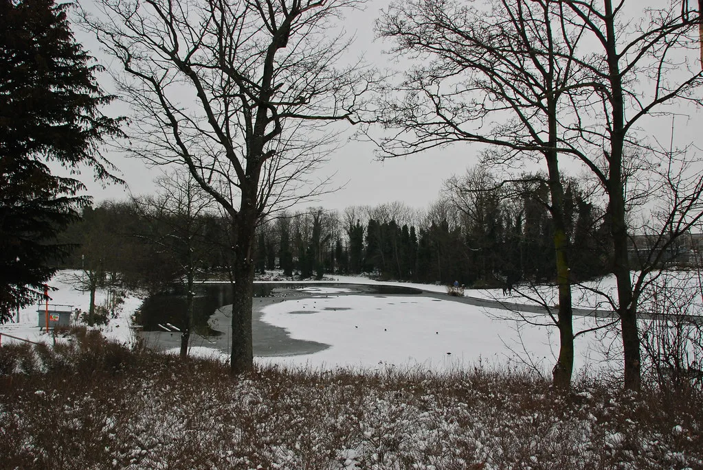 A partly frozen pond in Maria Hendrikapark in Ostend.