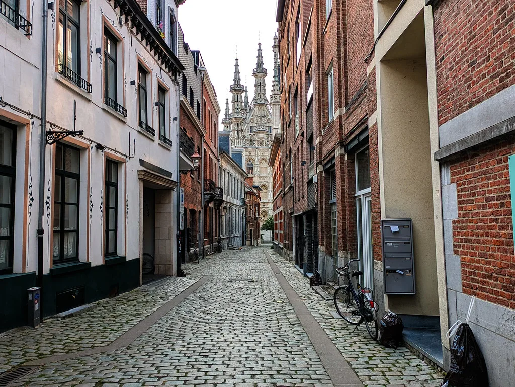 A cobbled street lined with brick houses in central Leuven.