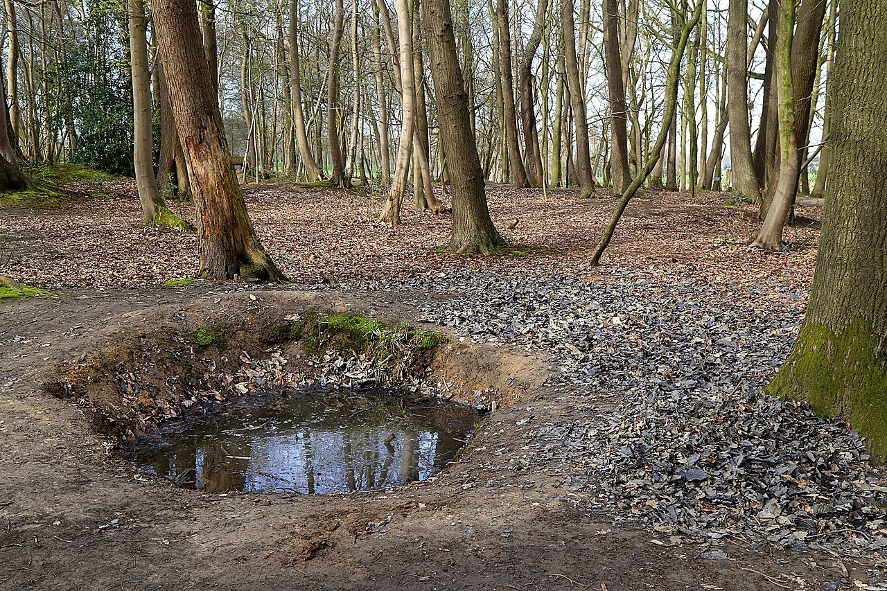 A First World War shell hole preserved in the woods at Sanctuary Wood, Zillebeke.