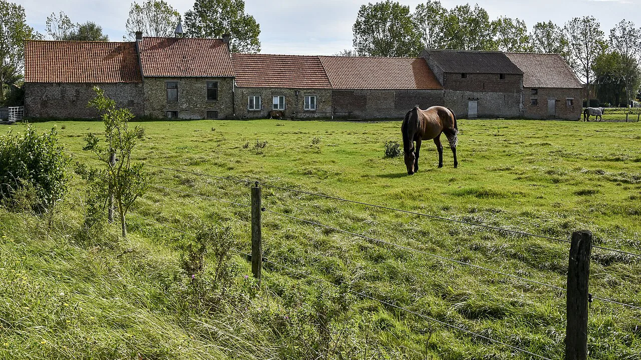 A horse grazing in front of the Welgelegen farmstead, Zandvoorde.